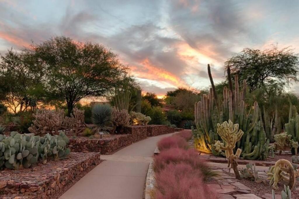 Tucson The Greens! 3Br Apt W/ Pool & Spa Exteriör bild